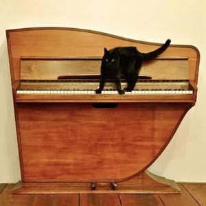 裸体暴乳家政妇
